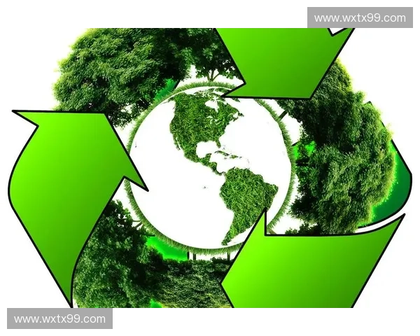 围绕持久耗能构建绿色高效可持续发展路径的系统化研究探索新方案