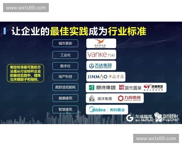 以行业标准制定为核心推动力的创新发展路径分析与实践探索